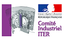 The ITER Industrial Committee (C2I)